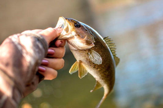 bass fishing tips