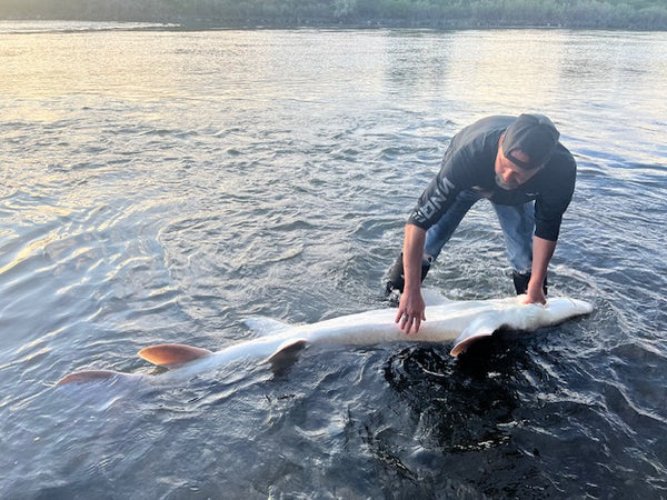 Get to Know WindRider's Pro Staff: Deke Segovia