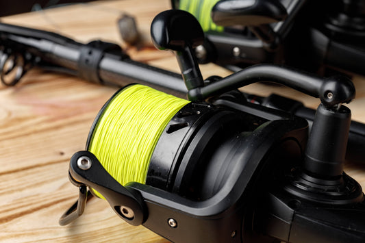 What are the different types of fishing line?